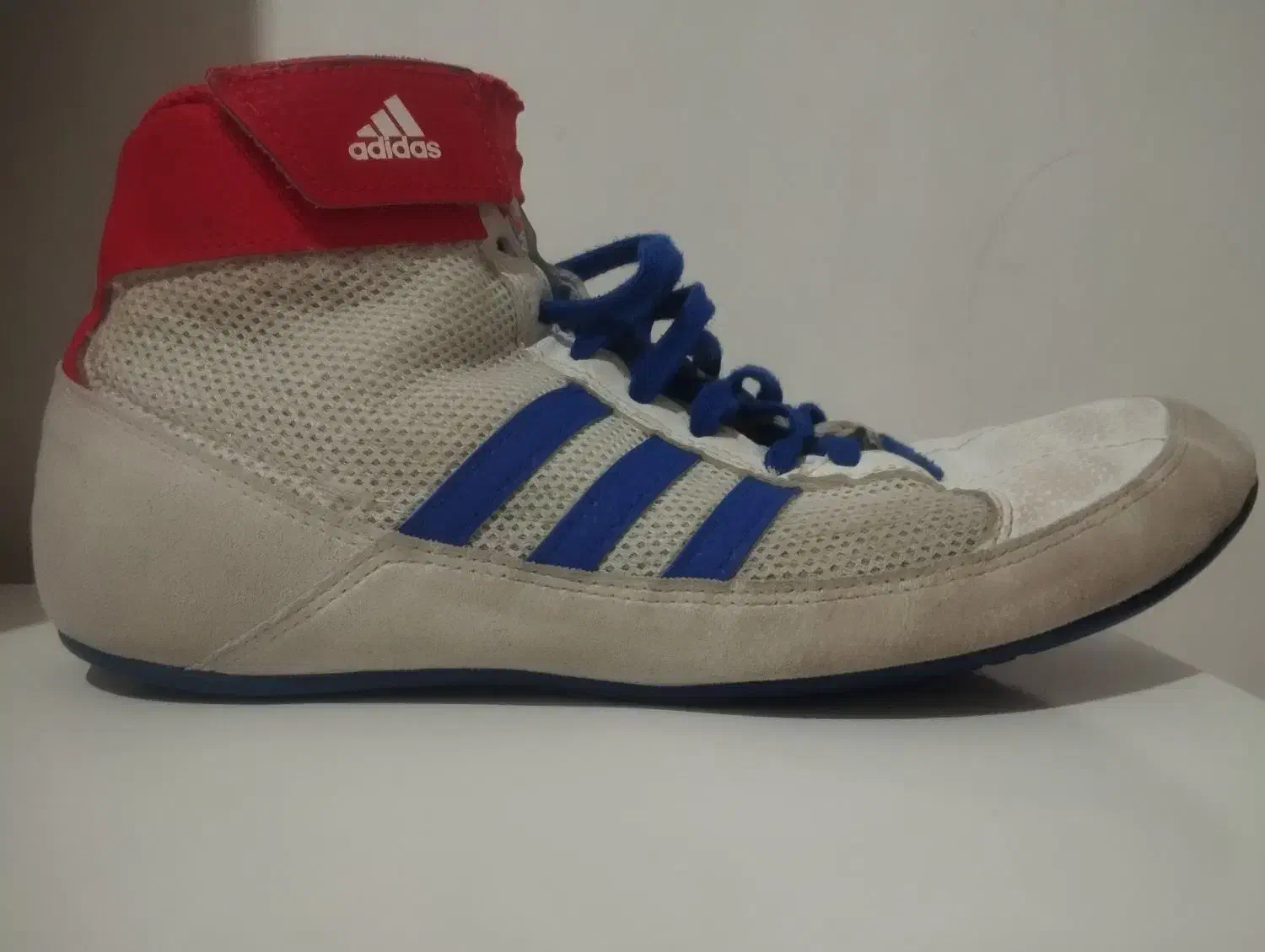 کفش کشتی|کیف، کفش، کمربند|صفادشت, |دیوار