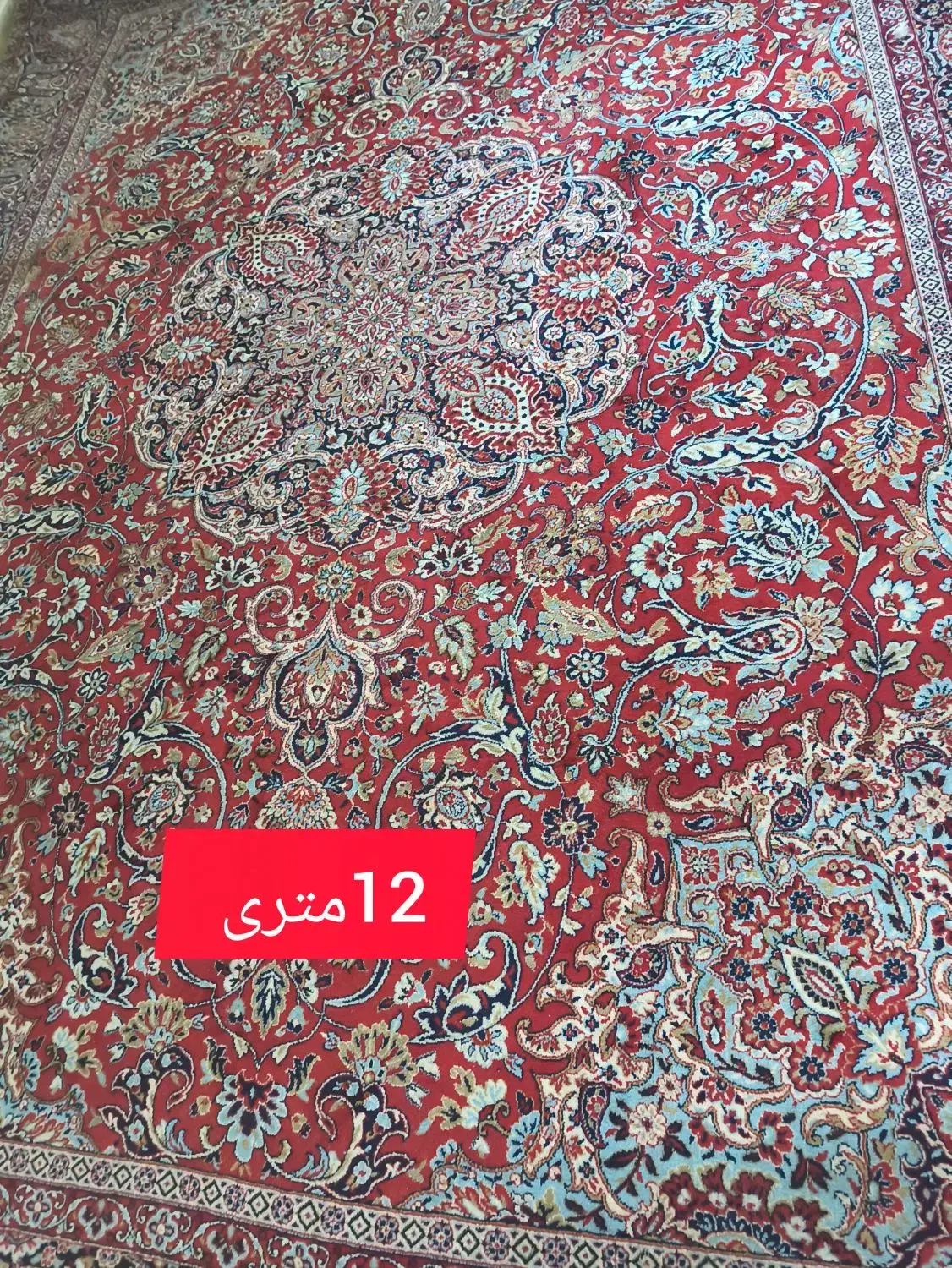 فرش و میز جلو مبلی|فرش|شیراز, کیان شهر|دیوار