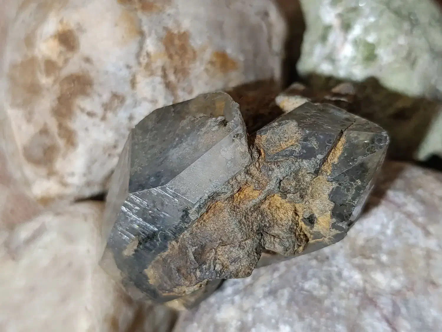 سنگ الماس هرکیمر خزهای ۴۰۰ میلیون ساله|جواهرات|لنگرود, |دیوار