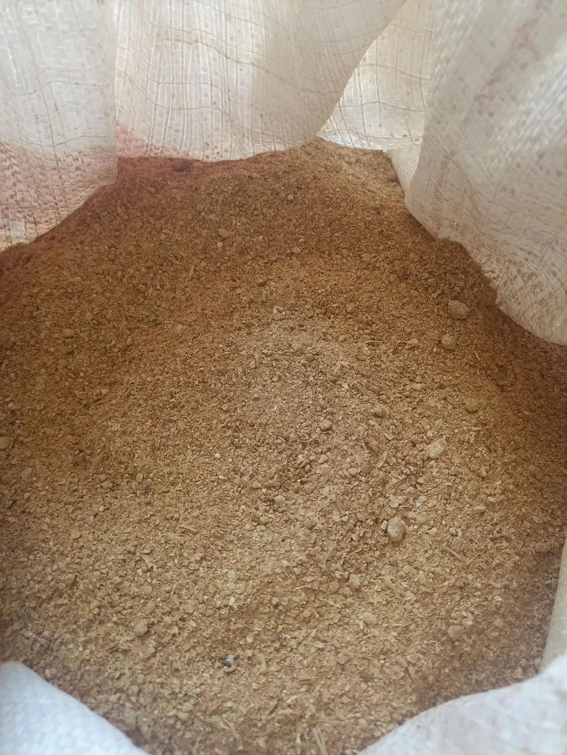 سویا درجه یک|لوازم جانبی حیوانات|ایوان, |دیوار