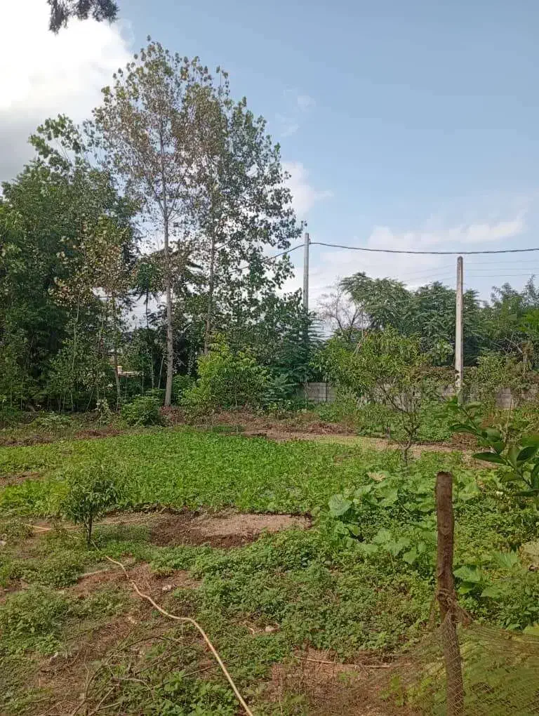 زمین|فروش زمین و ملک کلنگی|پره‌سر, |دیوار