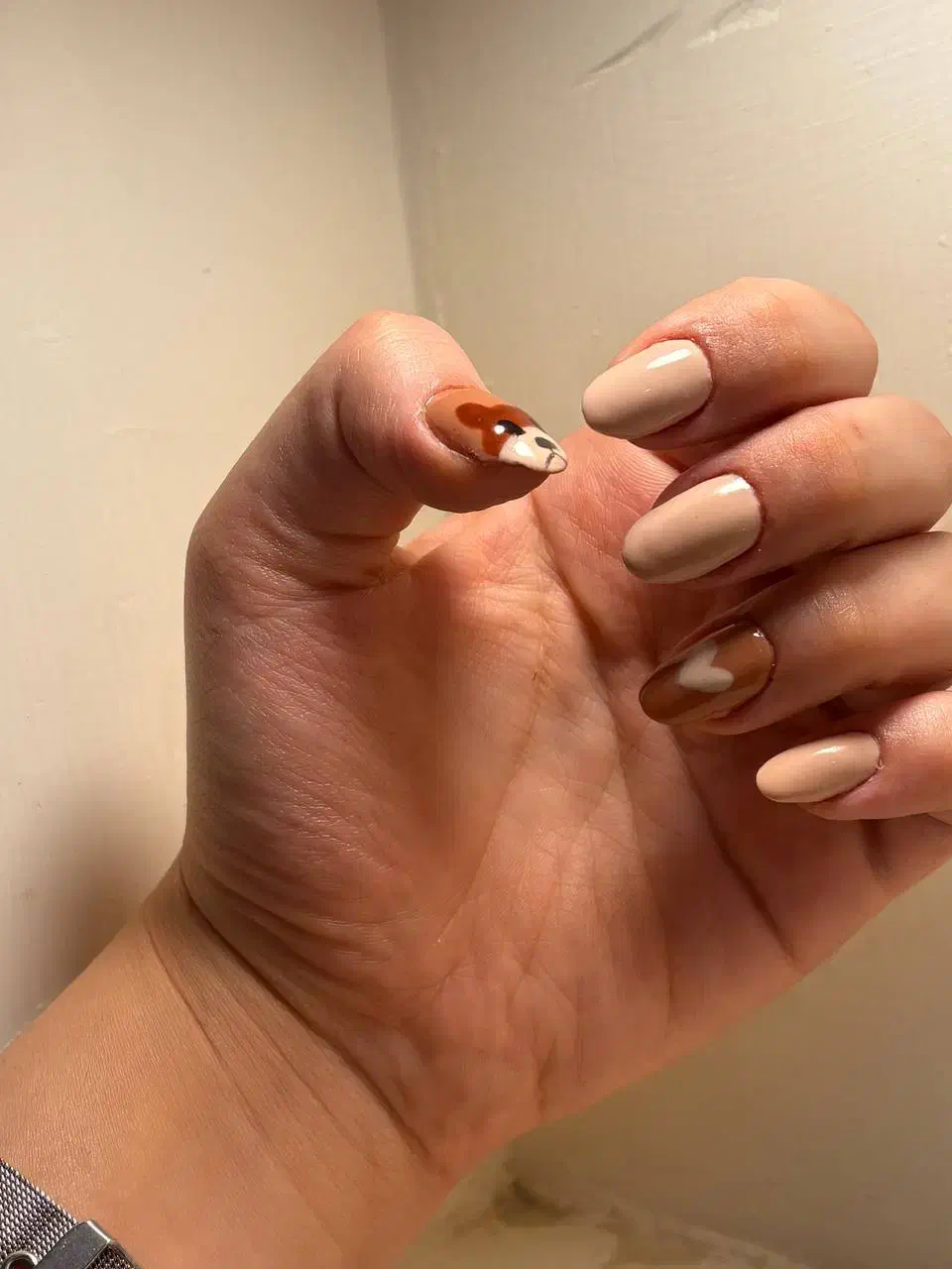 مدل ناخن|خدمات آرایشگری و زیبایی|الشتر, |دیوار