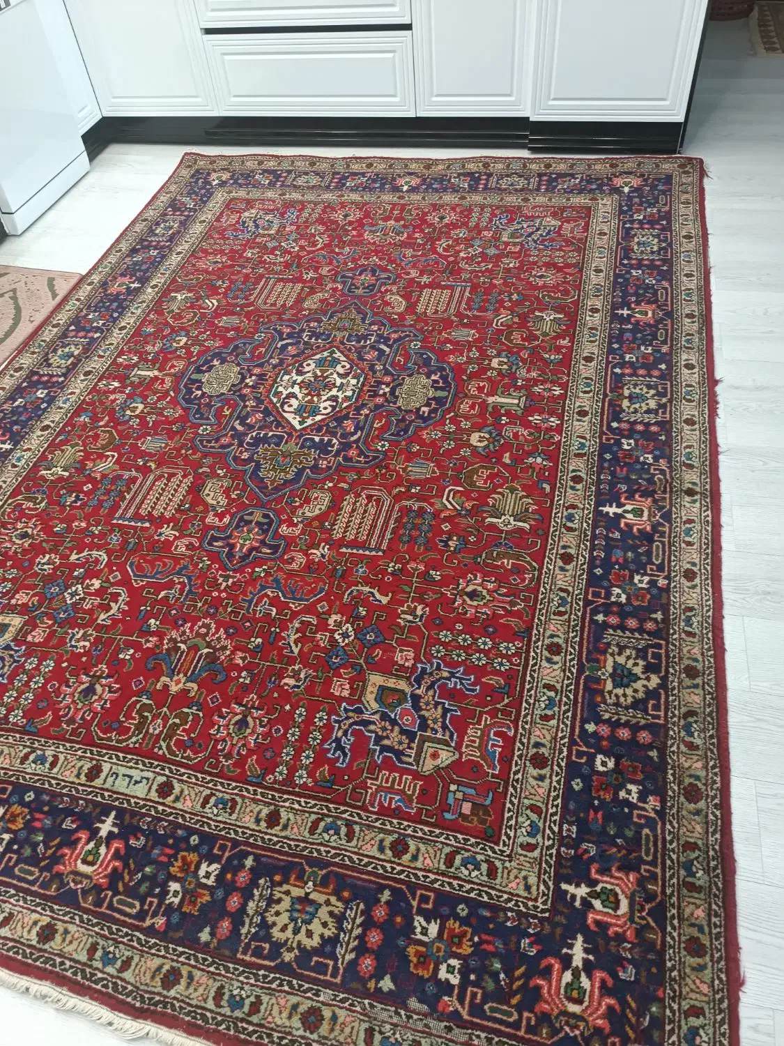 تعدادی قالی دستبافت 6و12هست|فرش|شیراز, فرهنگ شهر|دیوار