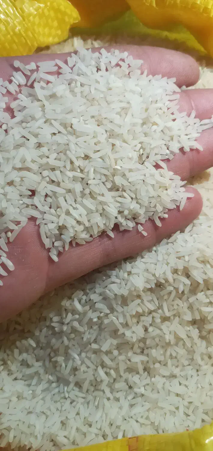 برنج لاشه هاشمی درجه یک اصل|خوردنی و آشامیدنی|اردبیل, |دیوار