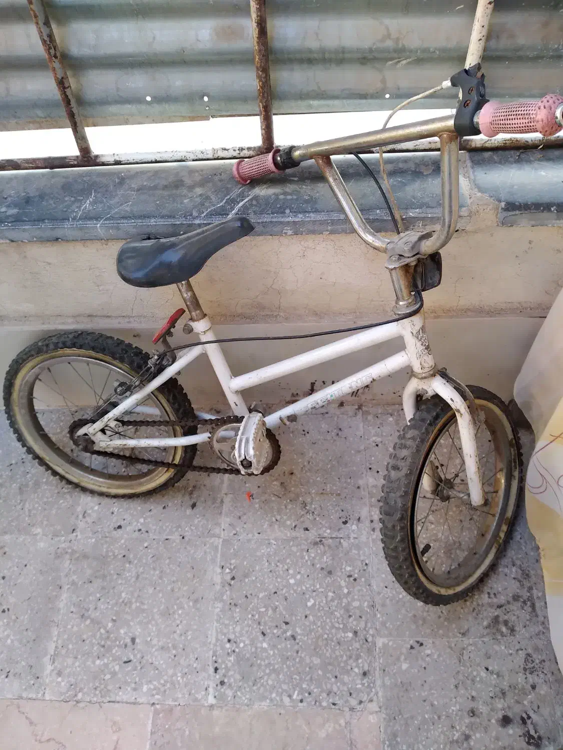 دوچرخه|دوچرخه، اسکیت، اسکوتر|پاکدشت, پاکدشت (مامازند)|دیوار