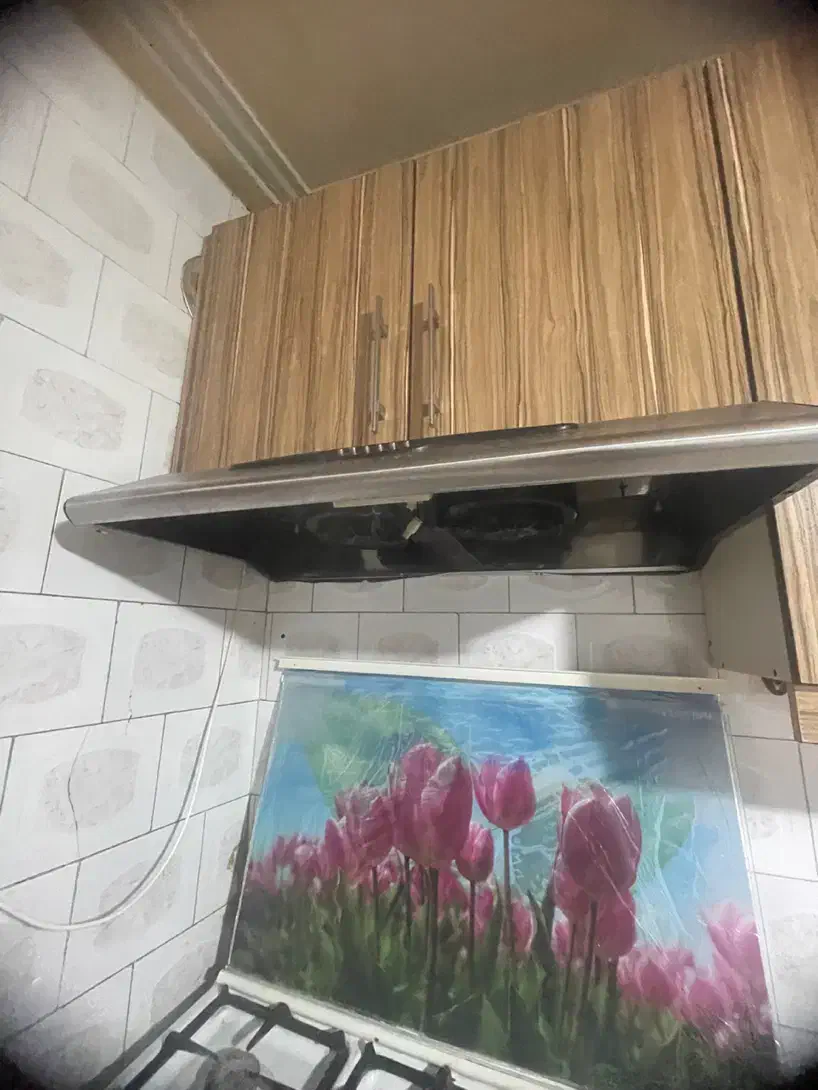 هود|هود|رشت, بازار|دیوار