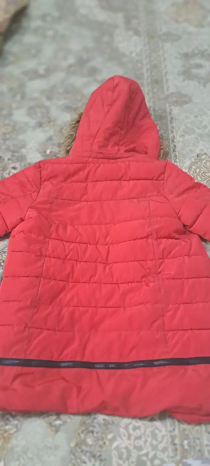 کاپشن دخترانه مناسب ۱۱سال|لباس|سقز, |دیوار