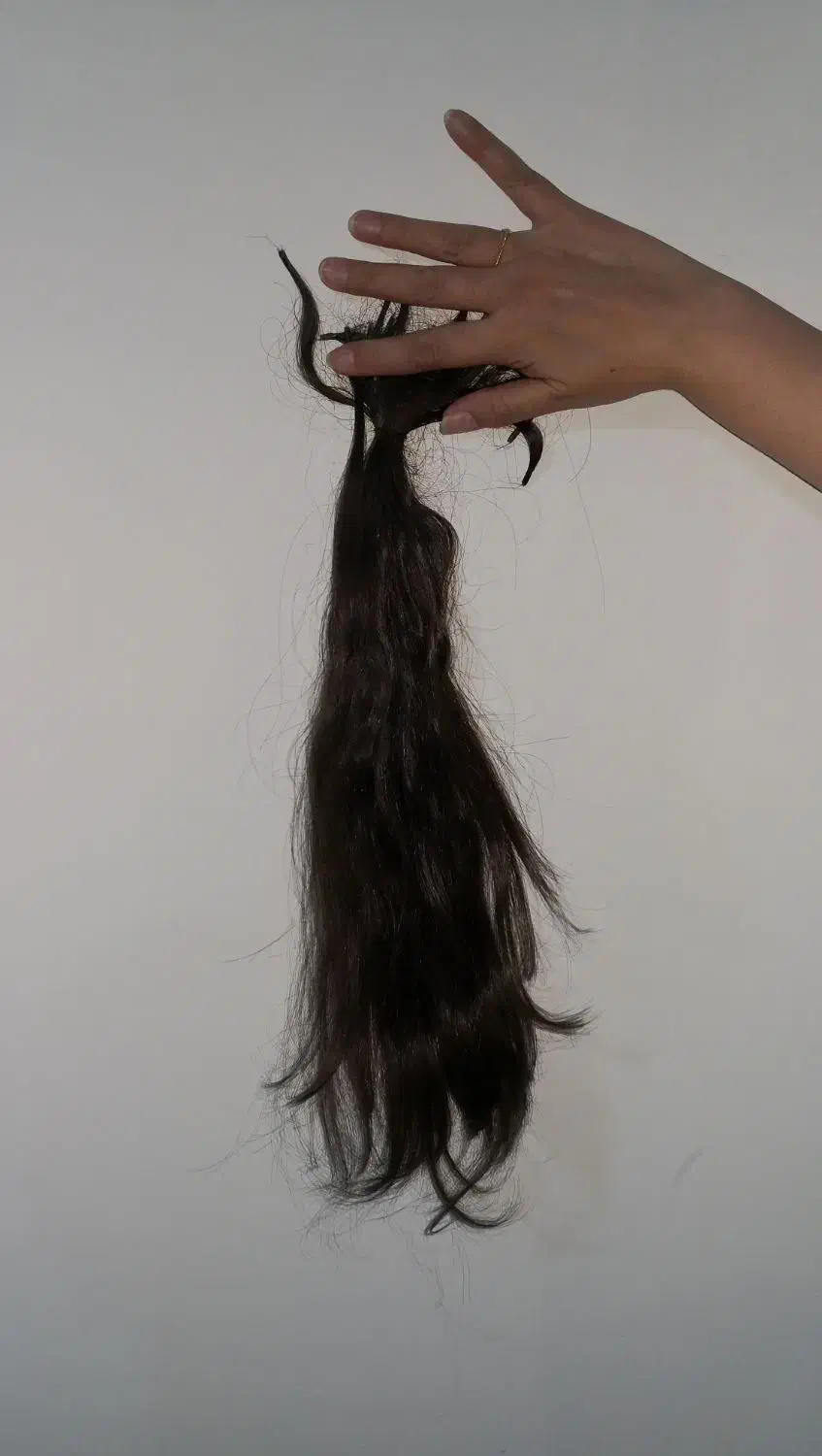 موی طبیعی|آرایشگاه و سالنهای زیبایی|سنندج, |دیوار