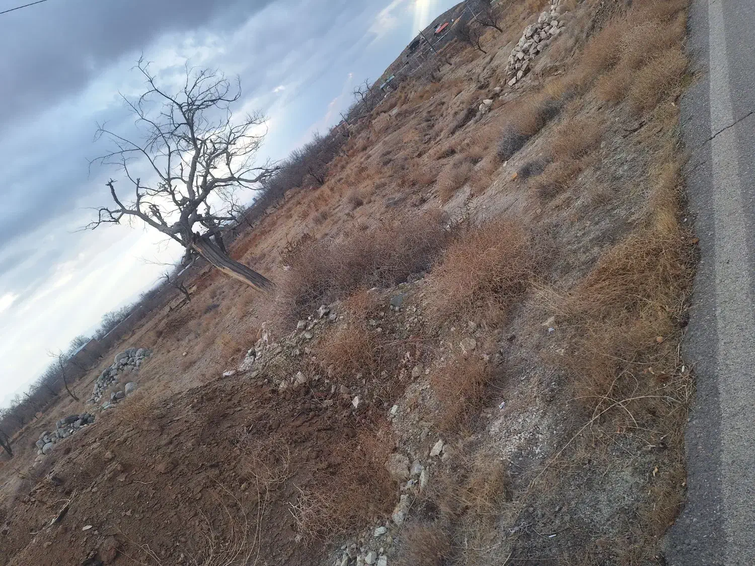 زمین ده|فروش زمین و ملک کلنگی|نیر (یزد), |دیوار