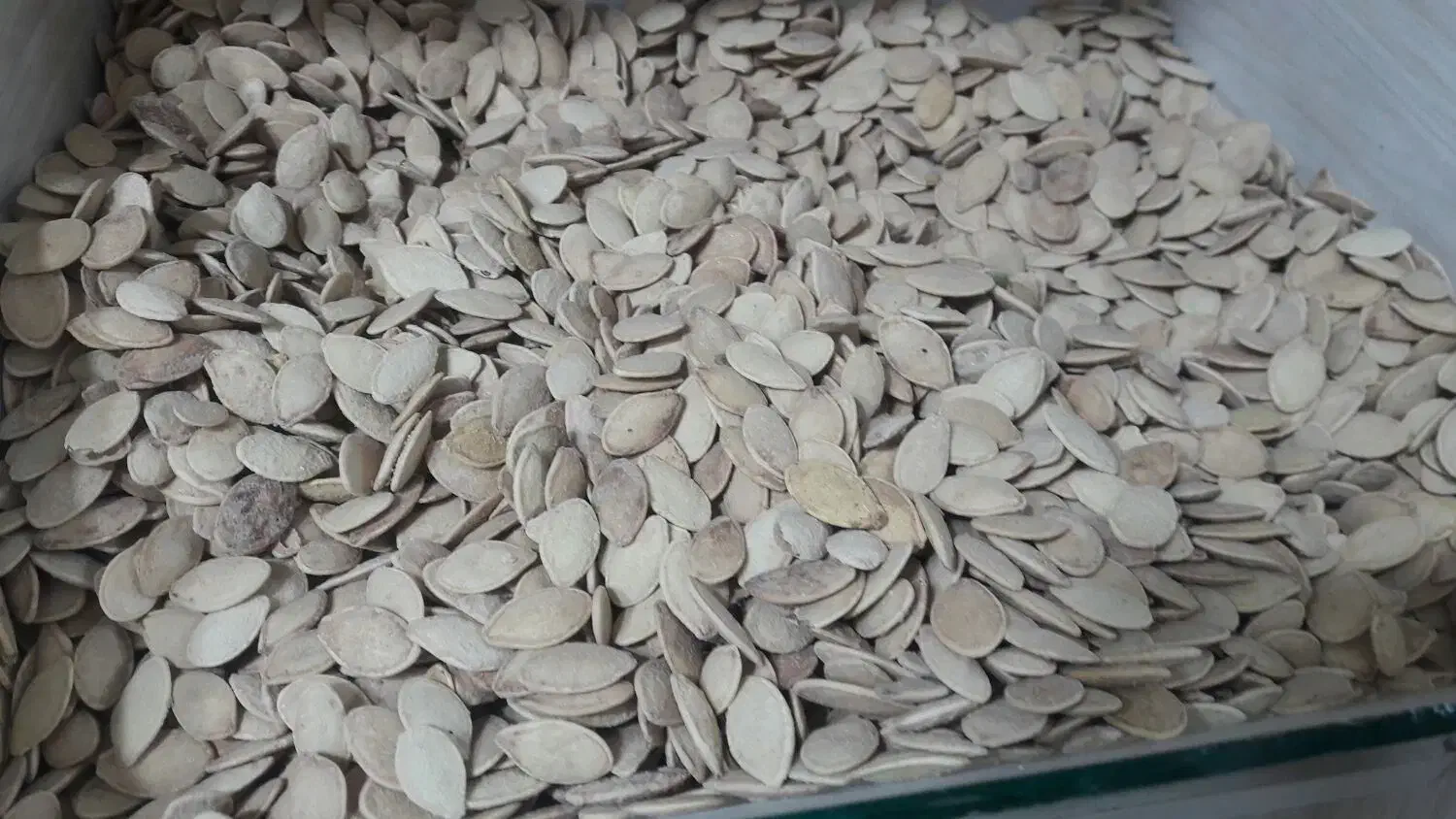 برنج عنبربو سال گذشته 250 کیلو|خوردنی و آشامیدنی|اردبیل, |دیوار