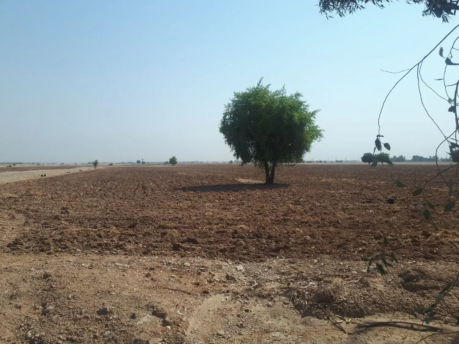 ۲۷ هکتار زمین بارانی|فروش دفتر صنعتی، کشاورزی، تجاری|شوش, |دیوار