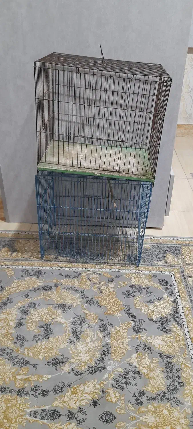 قفس مرغ عشق|لوازم جانبی حیوانات|رشت, ولکس|دیوار
