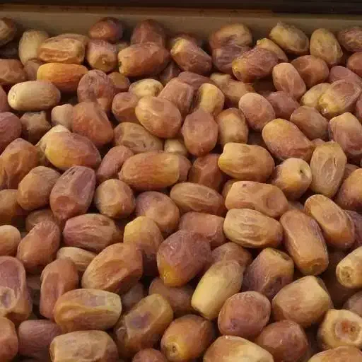 خرمای زاهدی قصب عمده تکی|حراج|صدرا-فارس, فاز ۱|دیوار