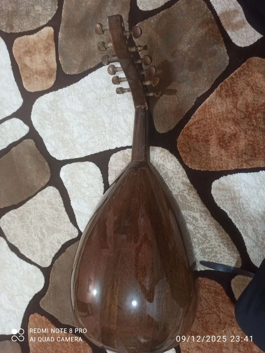 عود زریاب عراقی|سازهای سنتی|بندرعباس, |دیوار