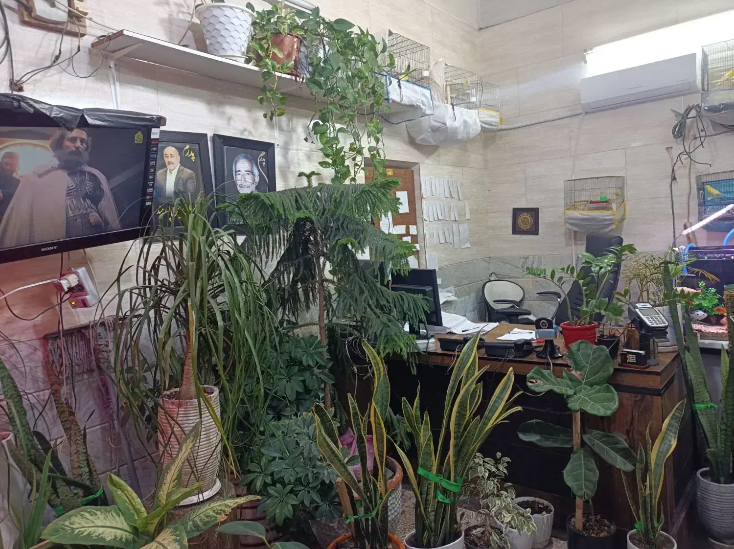 تاکسی تلفنی پرستو|استخدام حمل و نقل|قم, قلعه یزدیها|دیوار