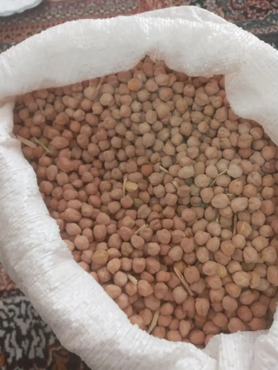 نخود|حراج|الیگودرز, |دیوار