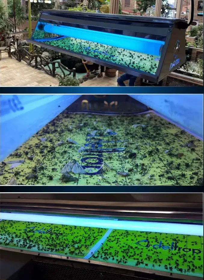 حشره کش برقی|سایر لوازم برقی|تبریز, |دیوار