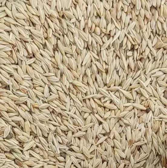 جوبرای دام|لوازم جانبی حیوانات|قائن, |دیوار