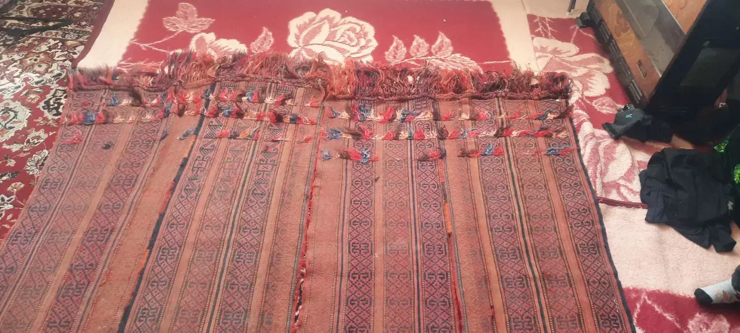 دو عدد جاجیم|گلیم، جاجیم، گبه|سلماس, |دیوار