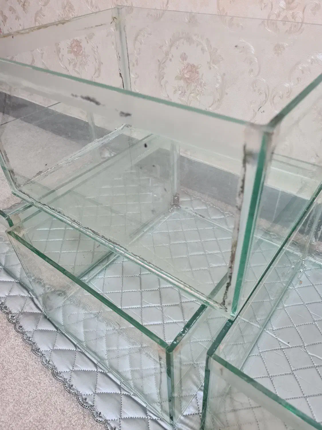 آکواریوم شیشهای|لوازم جانبی حیوانات|لاهیجان, کوی آزادگان|دیوار