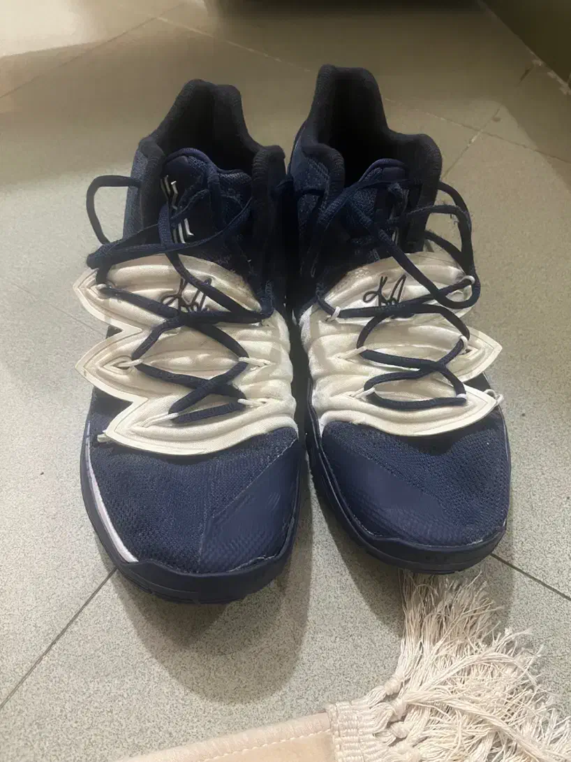 کفش|کیف، کفش، کمربند|اردبیل, |دیوار