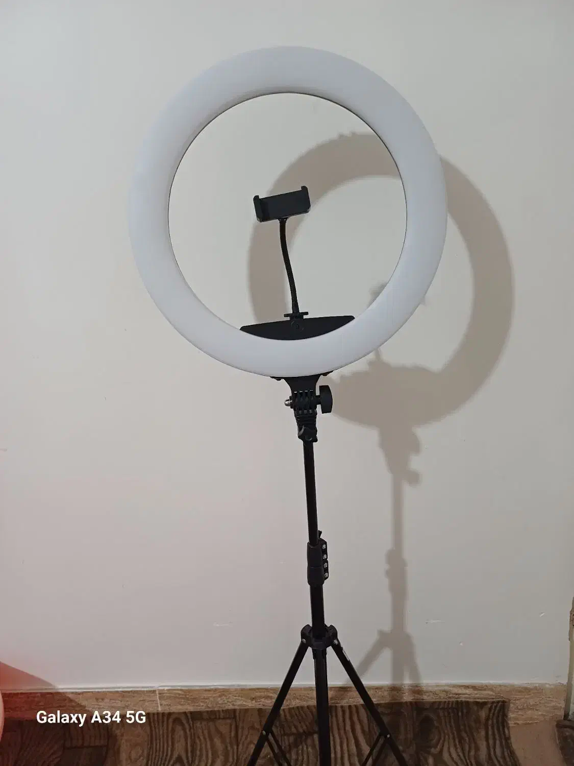 رینگ لایت|دوربین عکاسی و فیلمبرداری|مرند, |دیوار