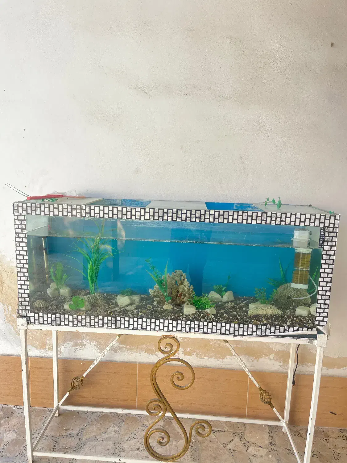 اکواریم سالم و تمیز با لوازم کامل با پایه فلزی|ماهی|آمل, |دیوار