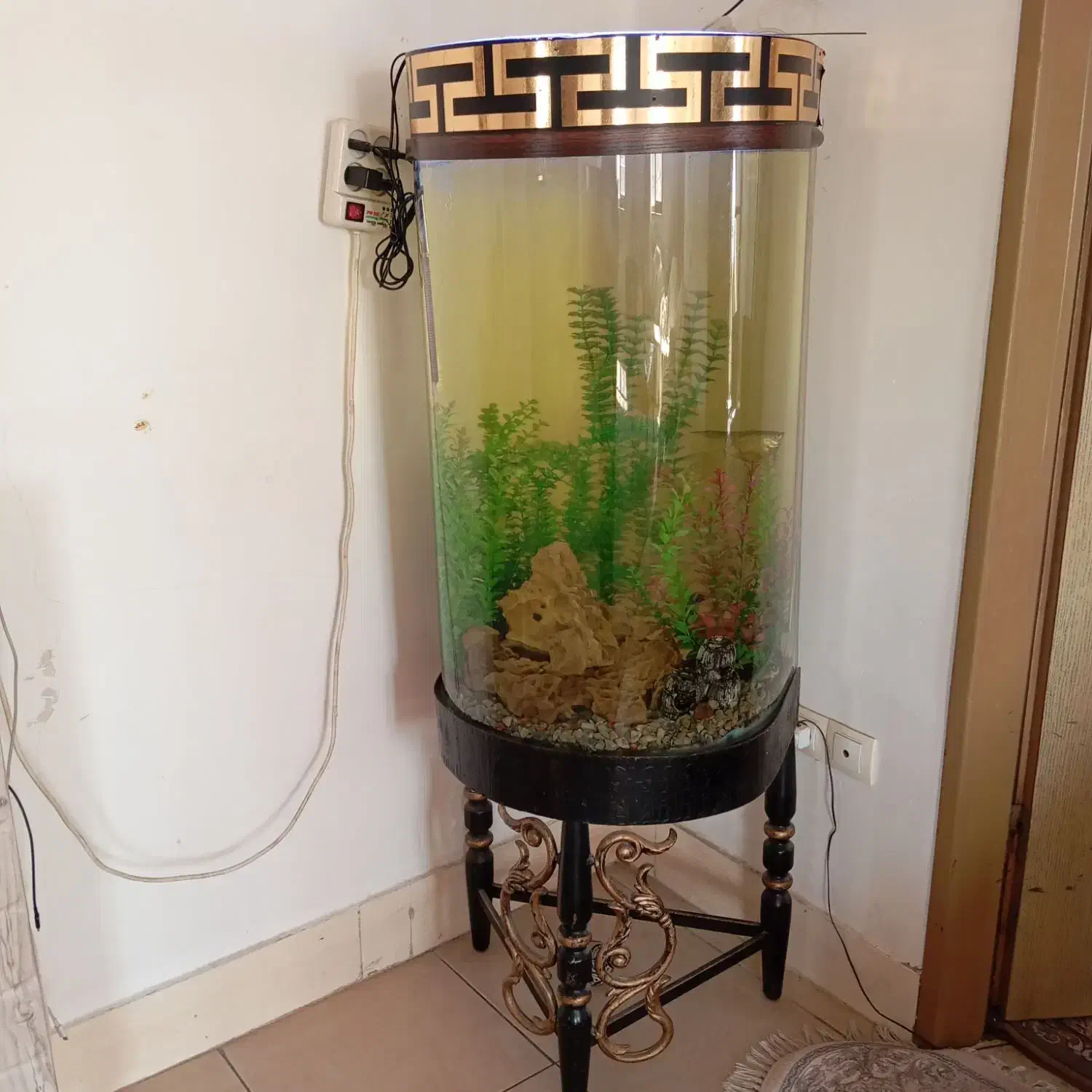 اکواریوم سایز بزرگ پایه فلز|ماهی|سیرجان, |دیوار