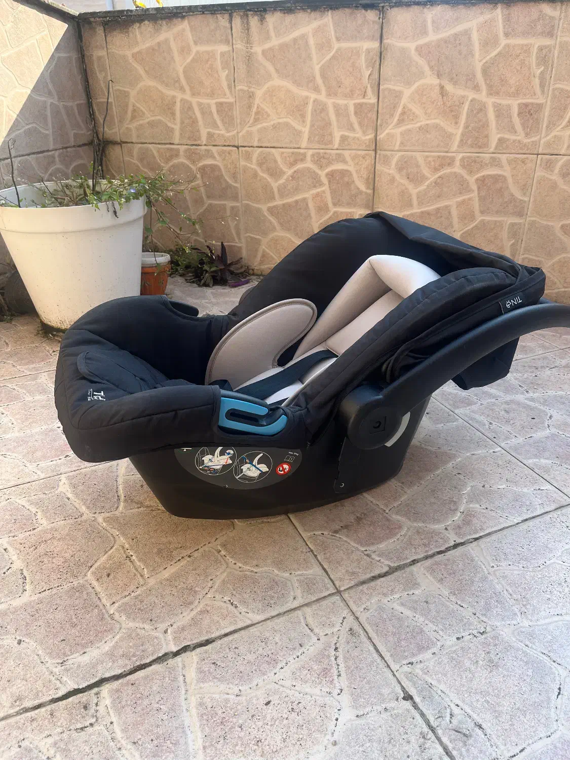 کریر تیتو|کالسکه و لوازم جانبی|رشت, رشتیان|دیوار