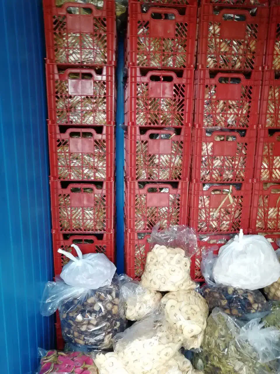 میوه خشک کن و سرد خانه|ماشینآلات صنعتی|مشهد, شهید بهشتی|دیوار