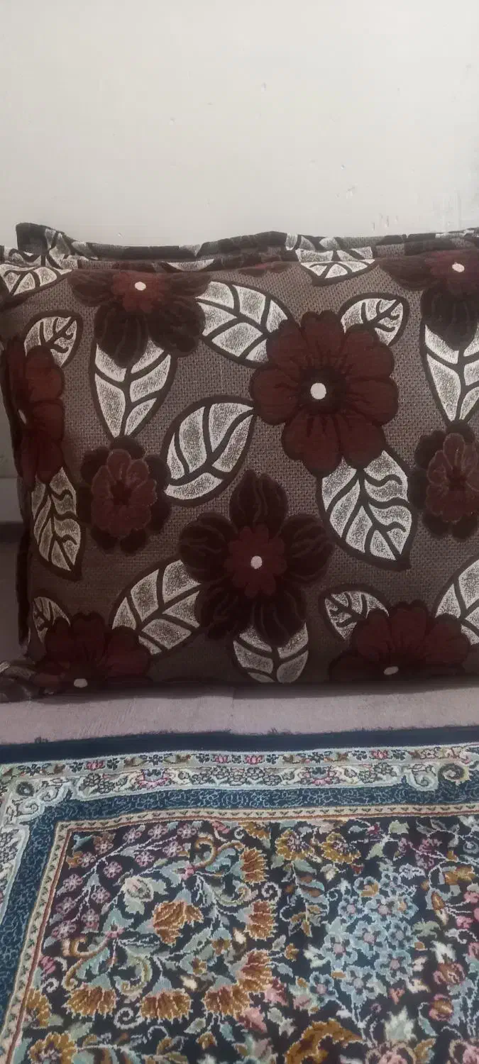 جلد پشتی تمیز سالم|پشتی|تربت جام, حافظ|دیوار