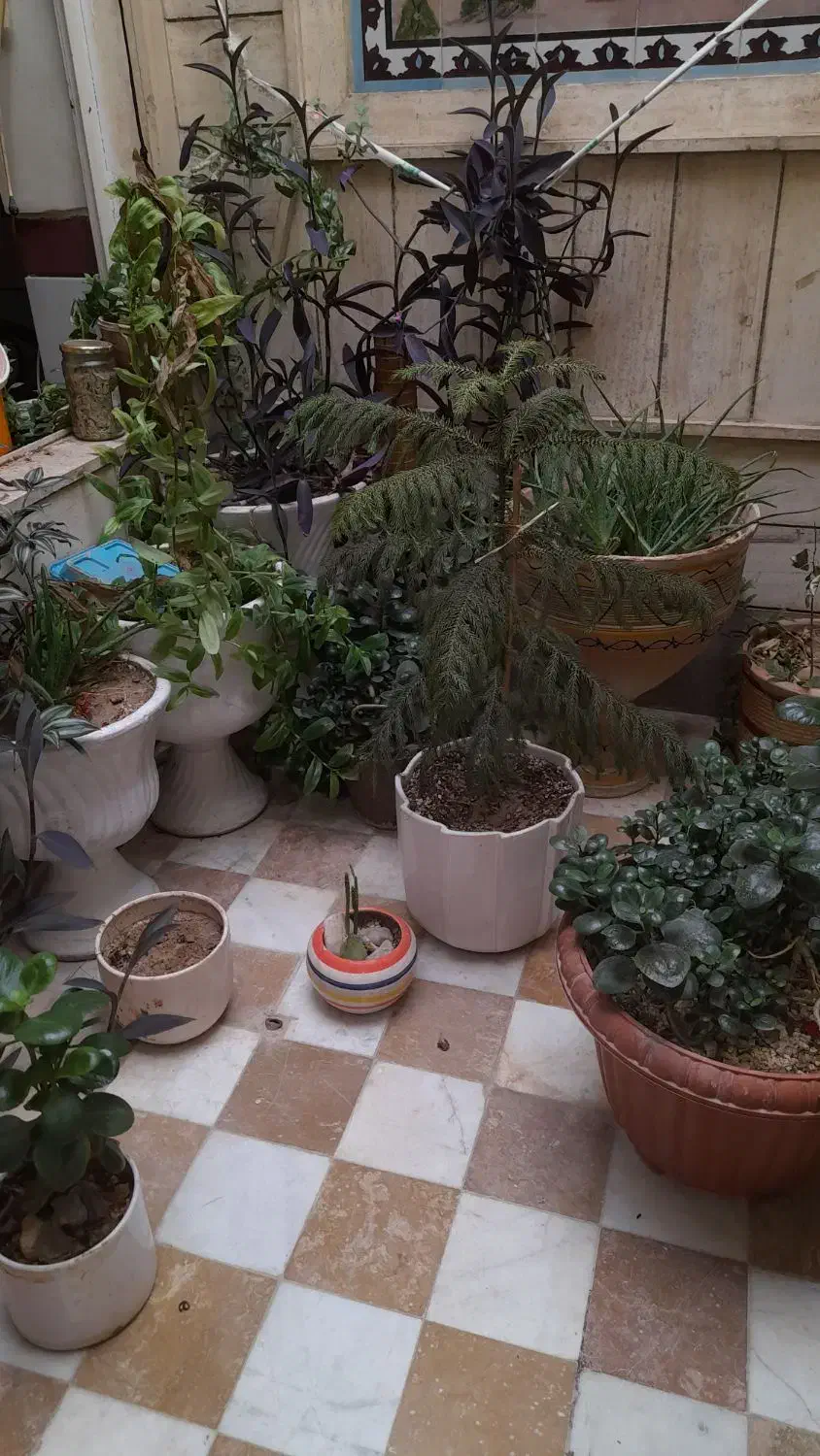 فروش منزل|فروش خانه و ویلا|مرودشت, بیست متری بیمارستان|دیوار