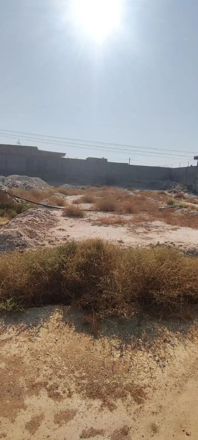 زمین دهقاید.بامصالح.برق.آب|فروش زمین و ملک کلنگی|برازجان, |دیوار