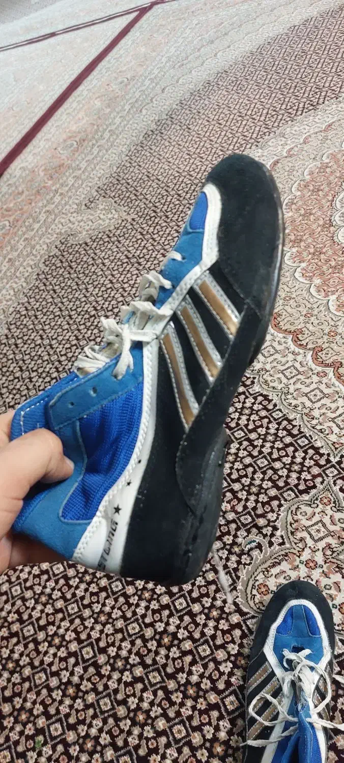 کفش کشتی|کیف، کفش، کمربند|اردبیل, |دیوار