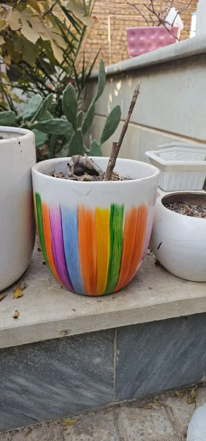 گلدون خالی|گل و گیاه طبیعی|گرمسار, |دیوار