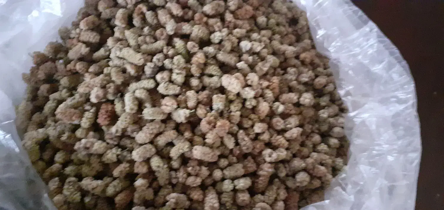 مقداری توت خشک  سه شیره و اوچه و کشمش|خوردنی و آشامیدنی|اصفهان, باغ دریاچه|دیوار