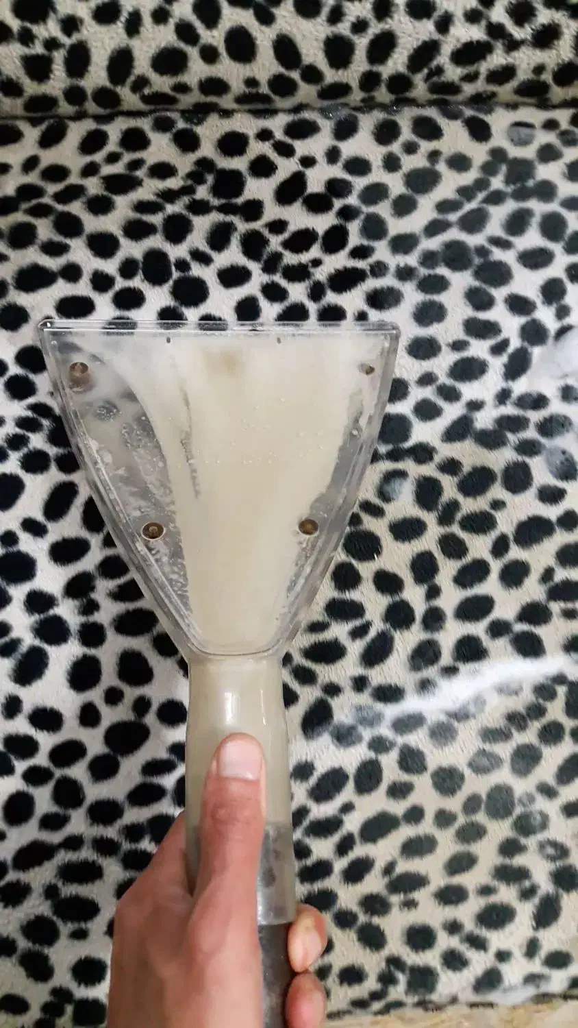 یک خانم جهت همکاری در مجموعه مبل شویی دلپسند|استخدام سرایداری و نظافت|لنگرود, |دیوار