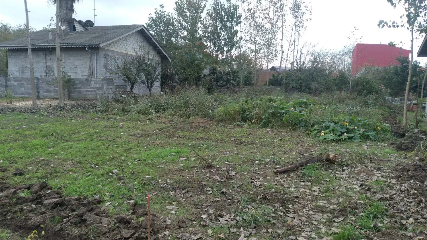 زمین سند دار با نامه بنیاد ۱میلیارد|فروش زمین و ملک کلنگی|رودبنه, |دیوار