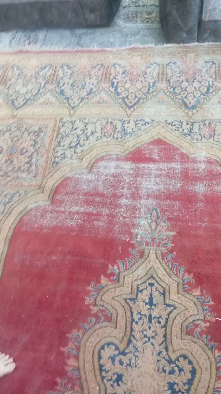 قالی کرمانی و|فرش|کرمان, |دیوار