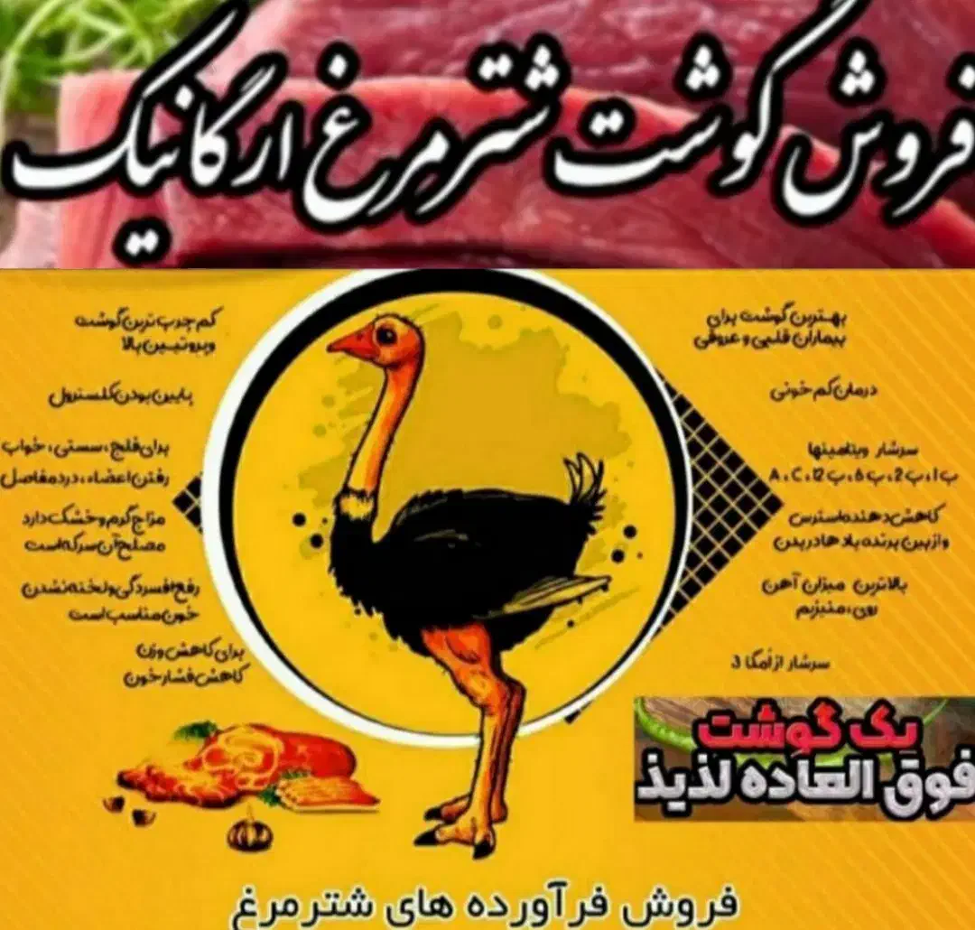 کهره بره گوسفندبزه گاوگوساله بلدرچین|حیوانات مزرعه|یاسوج, |دیوار