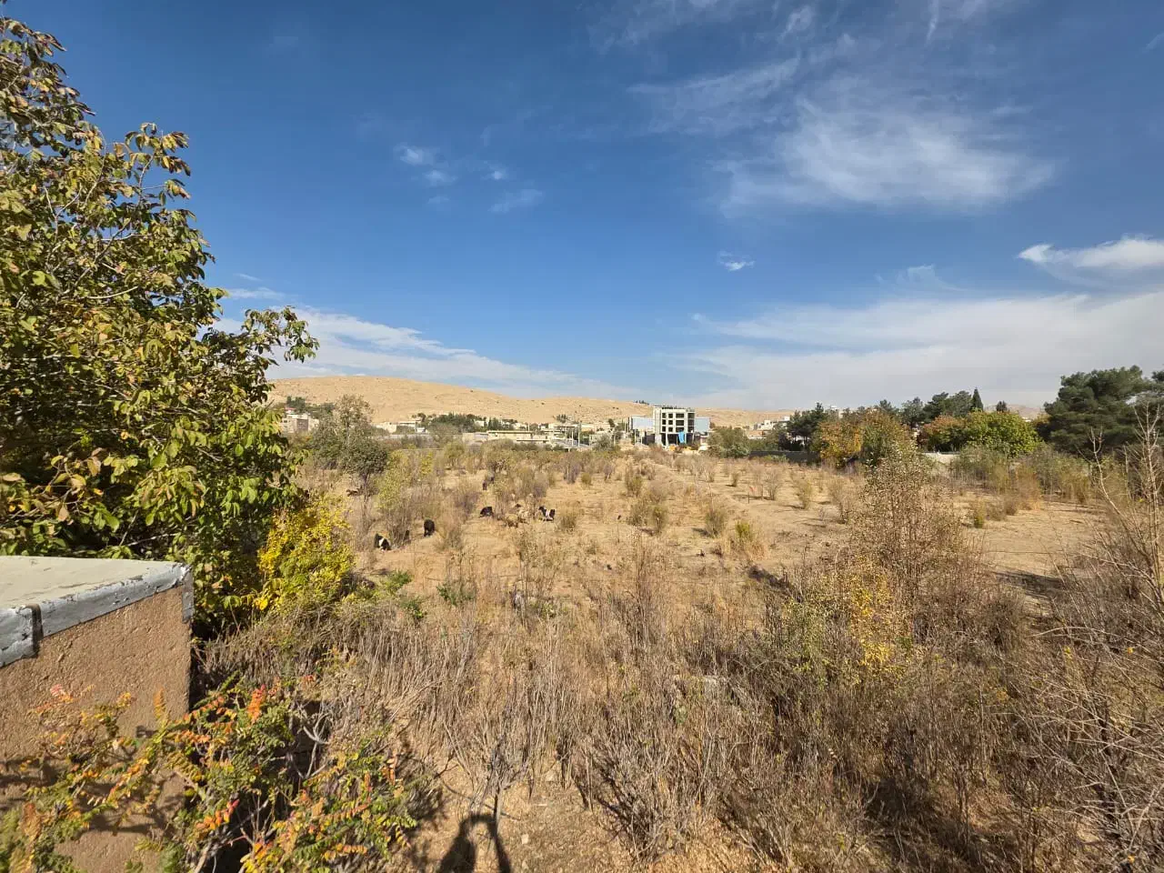 باغ انجیره|فروش دفتر صنعتی، کشاورزی، تجاری|شیراز, انجیره|دیوار