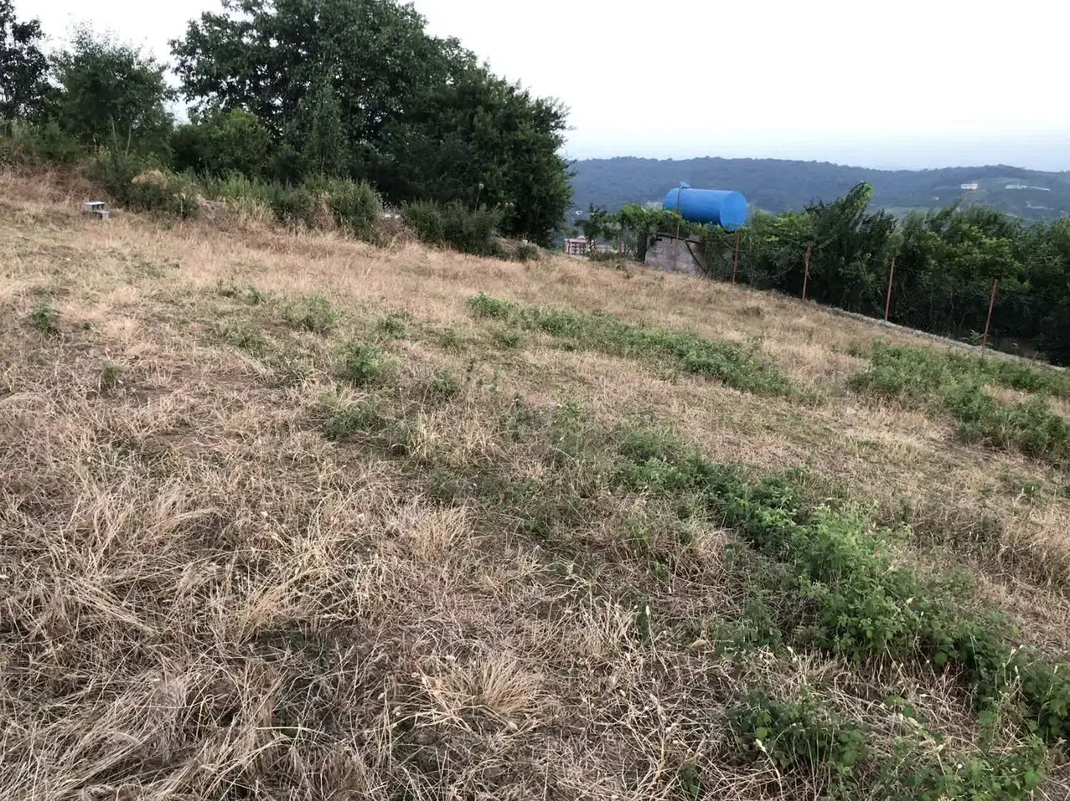 فروش زمین در یکی از بهترین لوکیشنهای ساری|فروش زمین و ملک کلنگی|ارطه, |دیوار