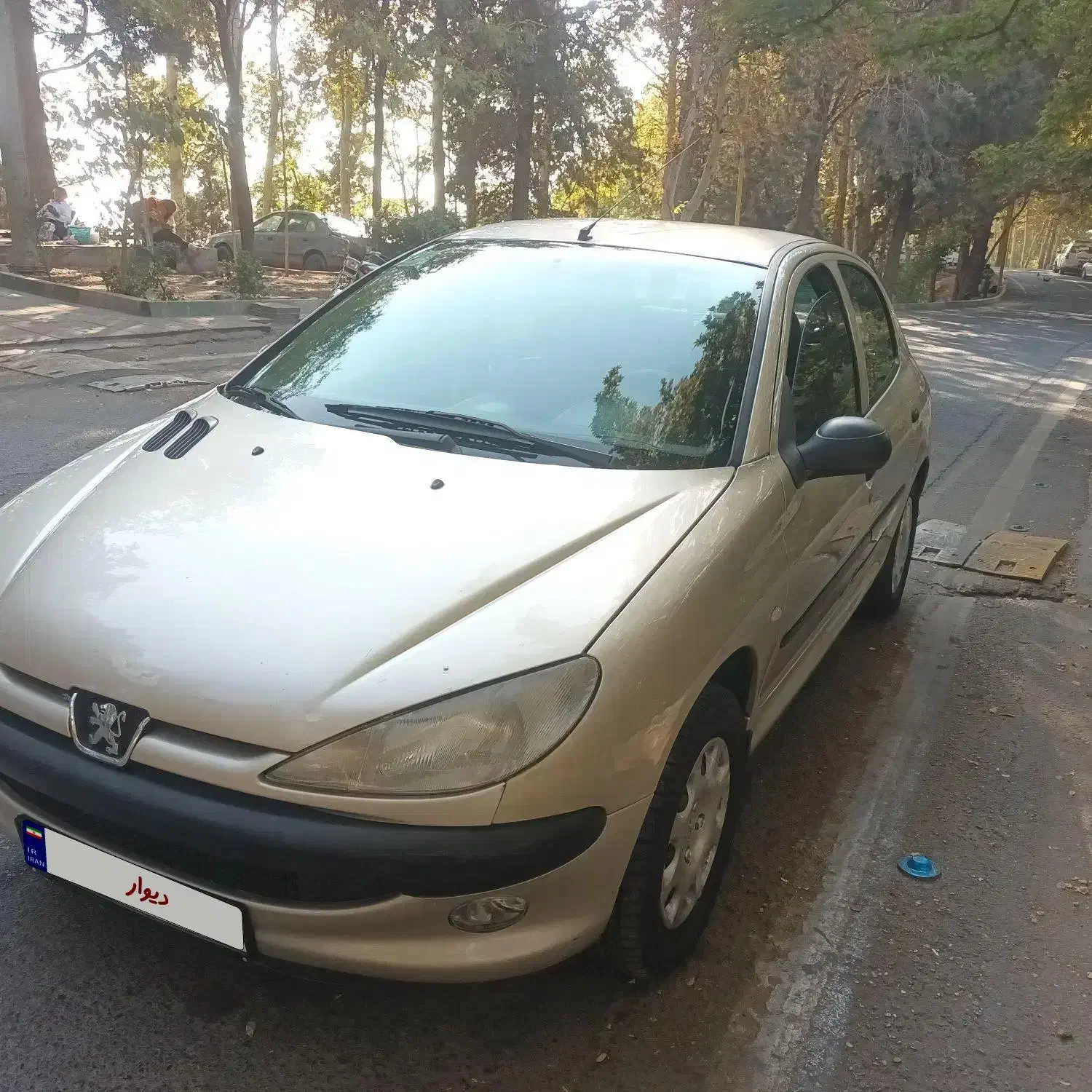 پژو ۲۰۶ بی رنگ|خودرو سواری و وانت|تهران, بوستان شیان|دیوار