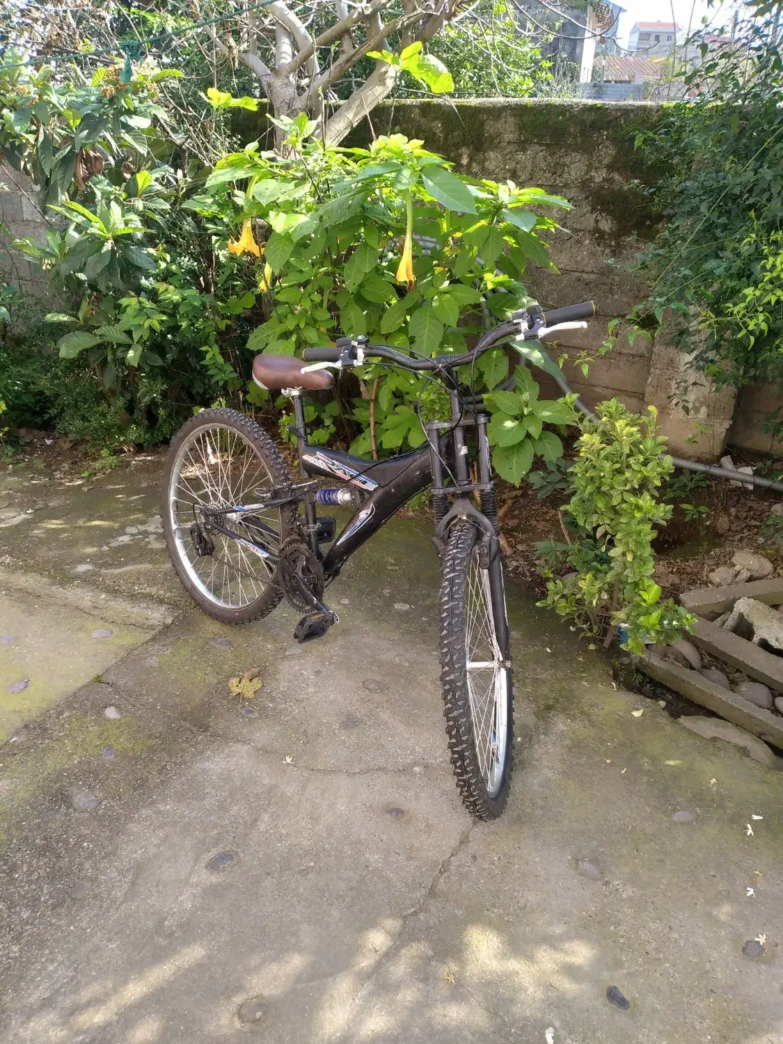 سالار جاده ها|دوچرخه، اسکیت، اسکوتر|سنگر, |دیوار