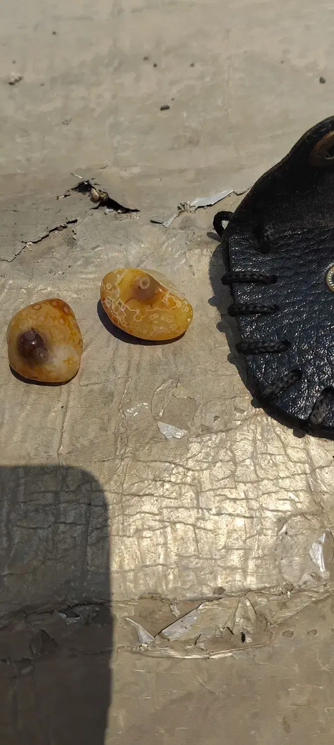 گم شده|اشیا|کارون, |دیوار