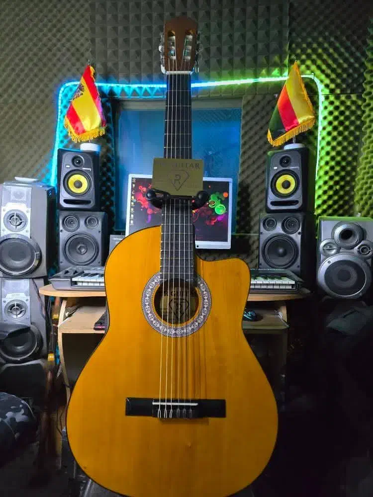 گیتار کلاسیک زیبا حرفه ای به همراه سافت کیس رایگان|گیتار، بیس، امپلیفایر|تهران, نارمک|دیوار