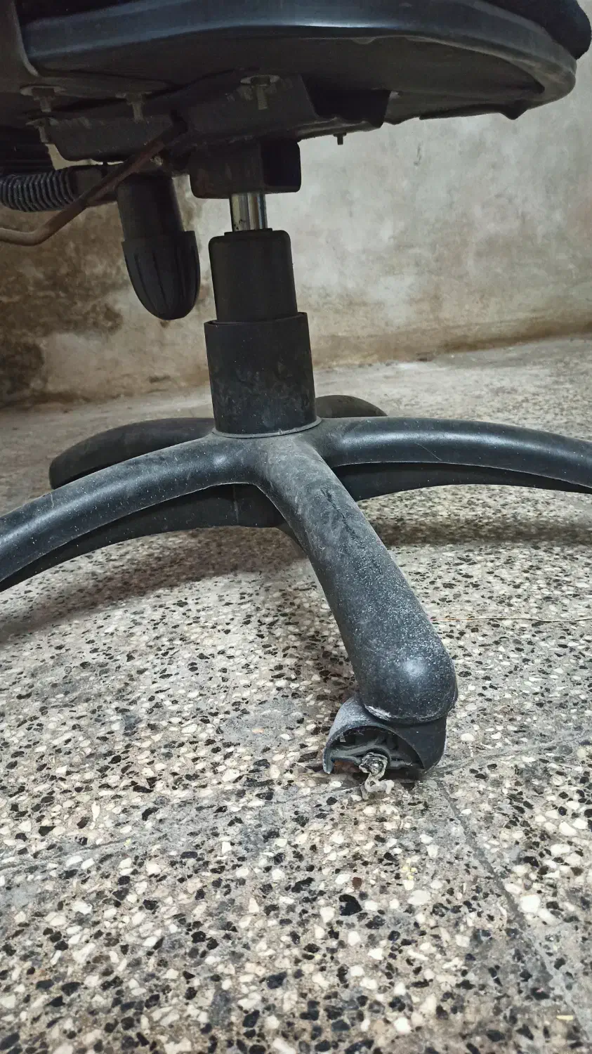 صندلی گردان|صندلی و نیمکت|گرگان, |دیوار