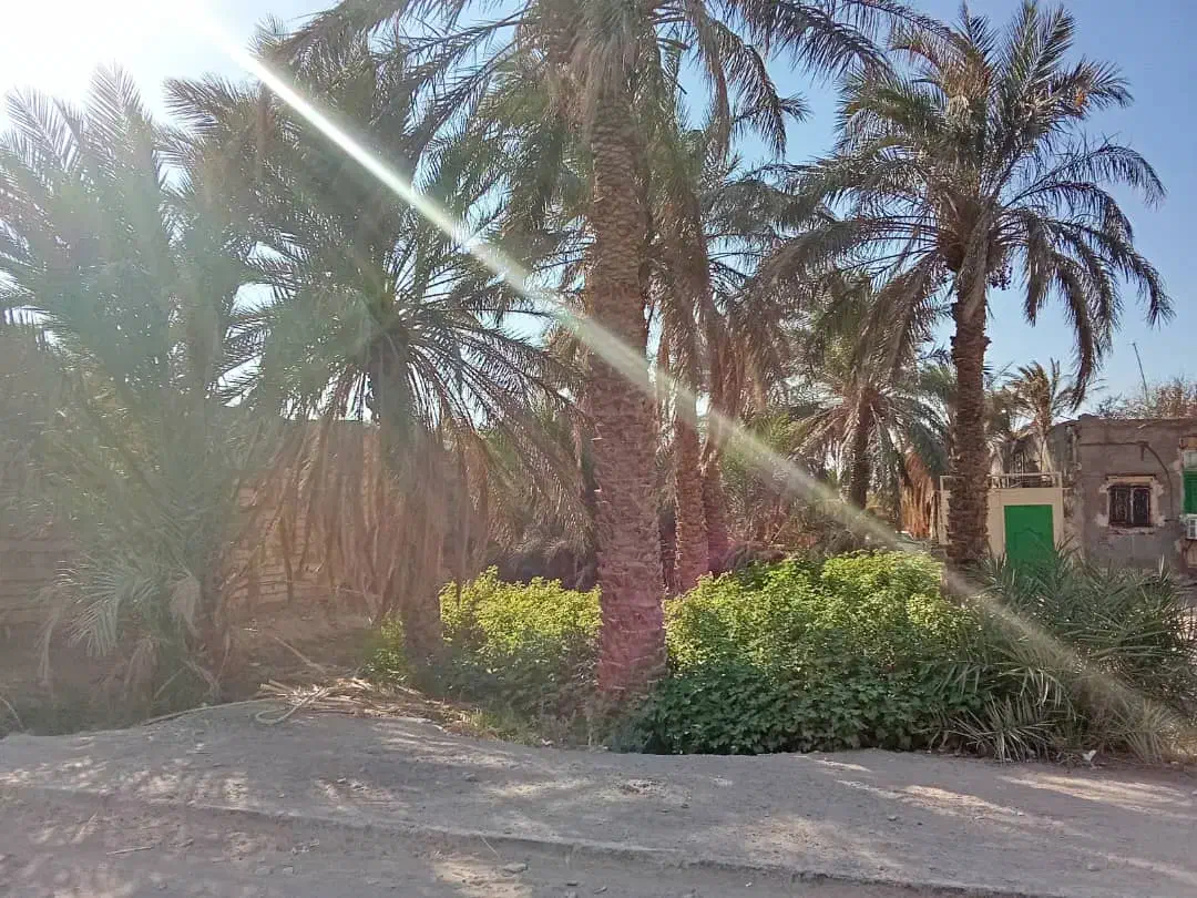 فروش یک باب منزل|فروش خانه و ویلا|نرماشیر, |دیوار