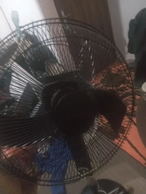 پنکه جدید|پنکه و تصفیهکنندهٔ هوا|رشت, پاره بیجار|دیوار