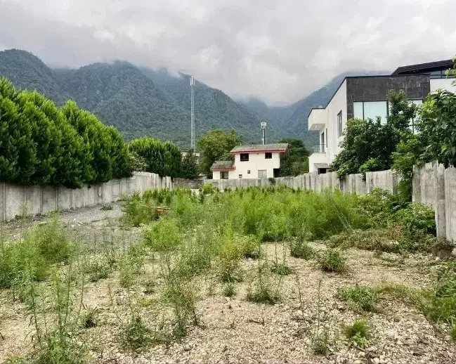 زمین با چشم‌انداز بی‌نظیر، مناسب ویلاسازی|فروش زمین و ملک کلنگی|پل سفید, |دیوار